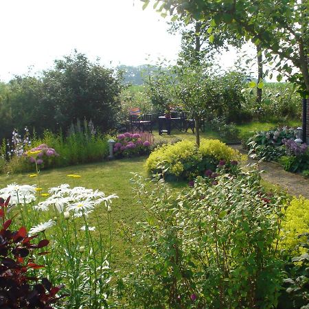 Oosternijkerk B&B Op De Vlakte المظهر الخارجي الصورة