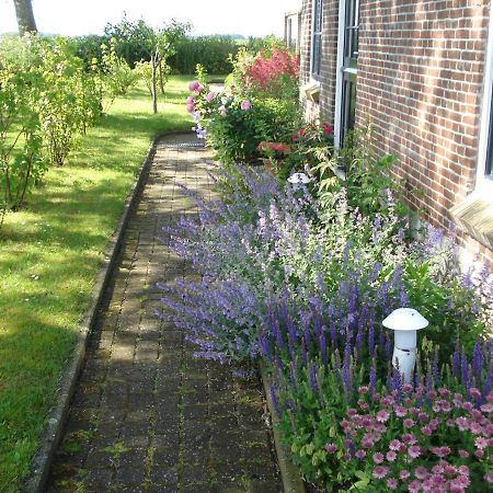 Oosternijkerk B&B Op De Vlakte المظهر الخارجي الصورة
