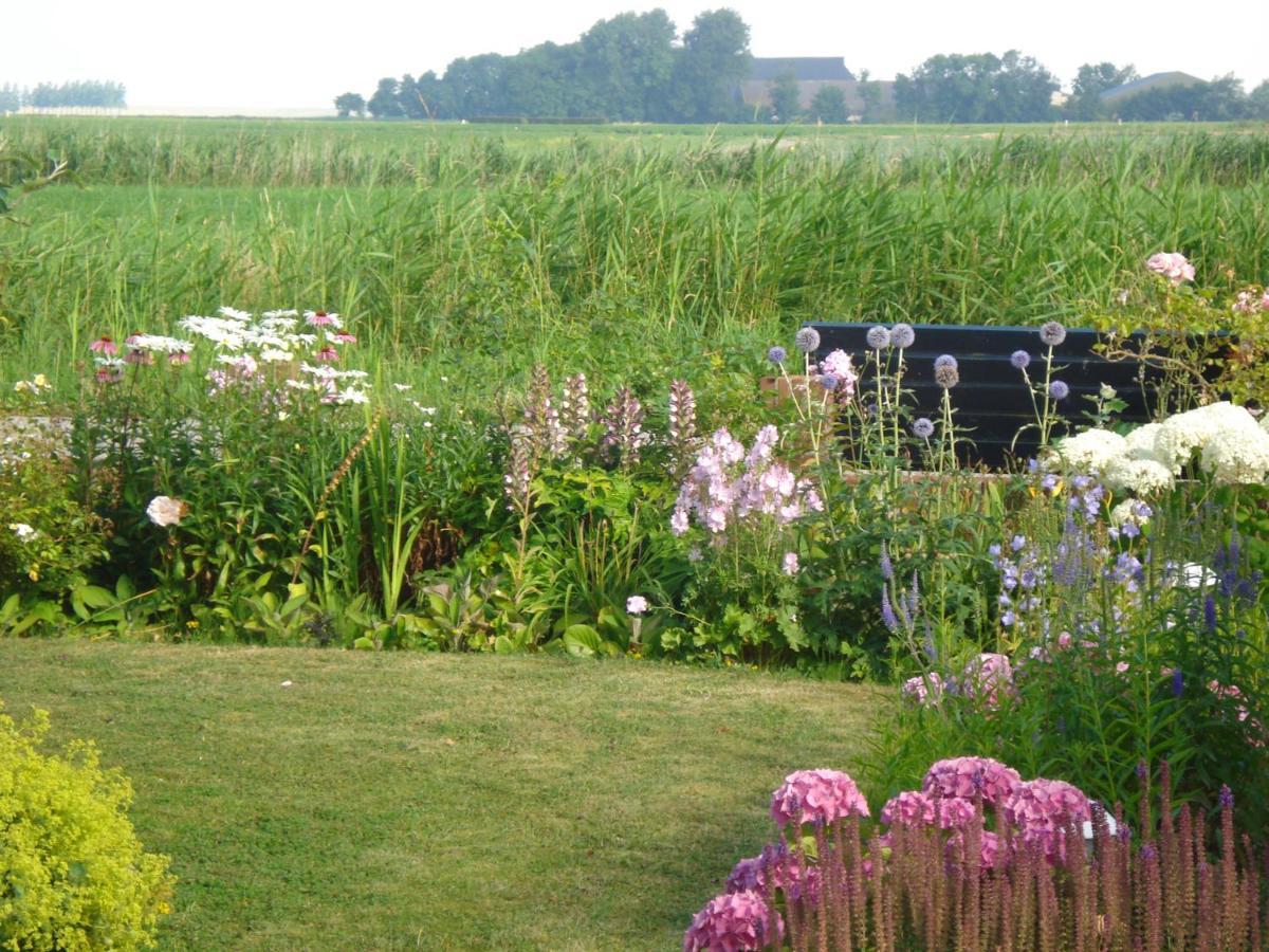 Oosternijkerk B&B Op De Vlakte المظهر الخارجي الصورة