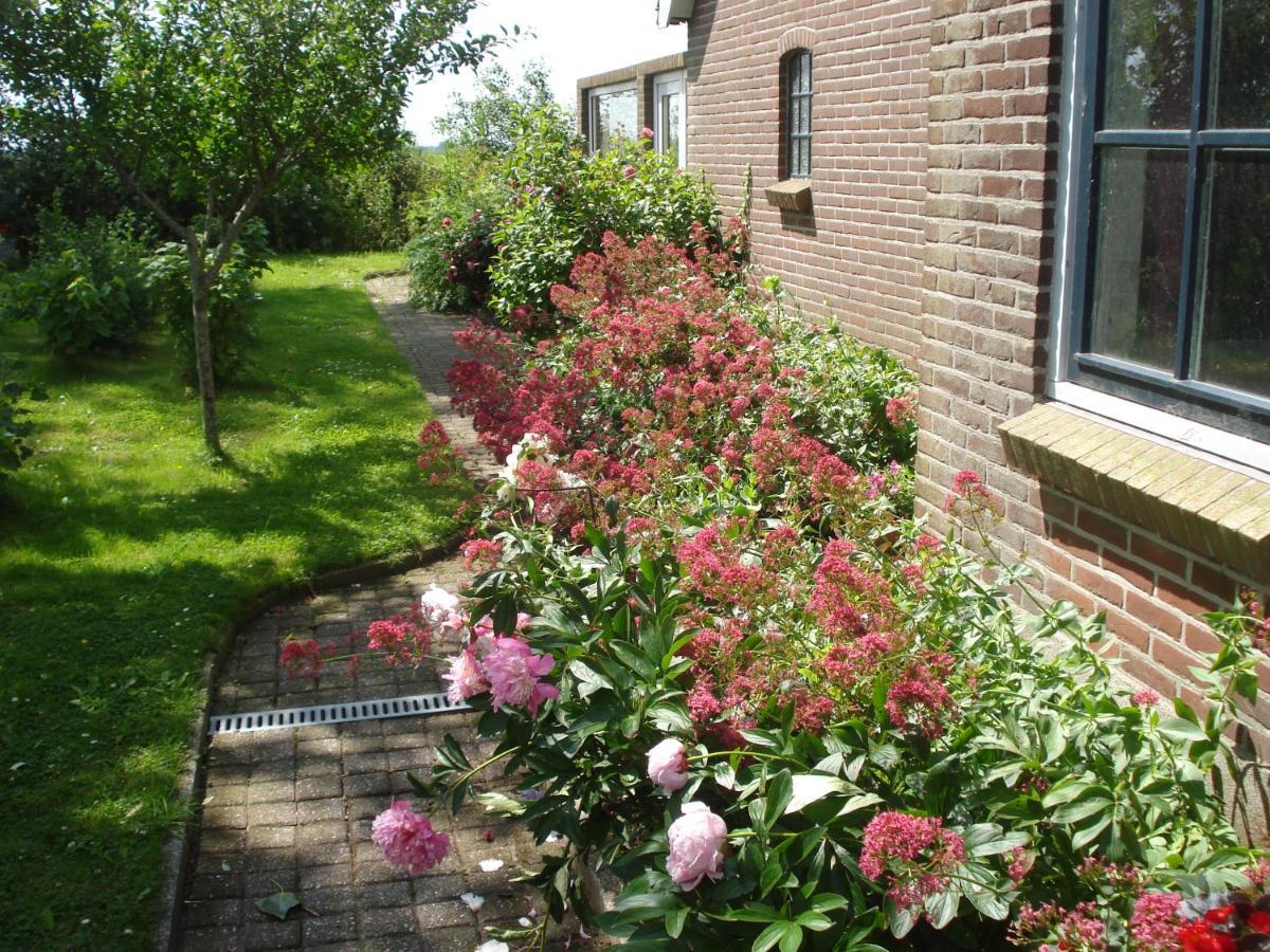 Oosternijkerk B&B Op De Vlakte المظهر الخارجي الصورة