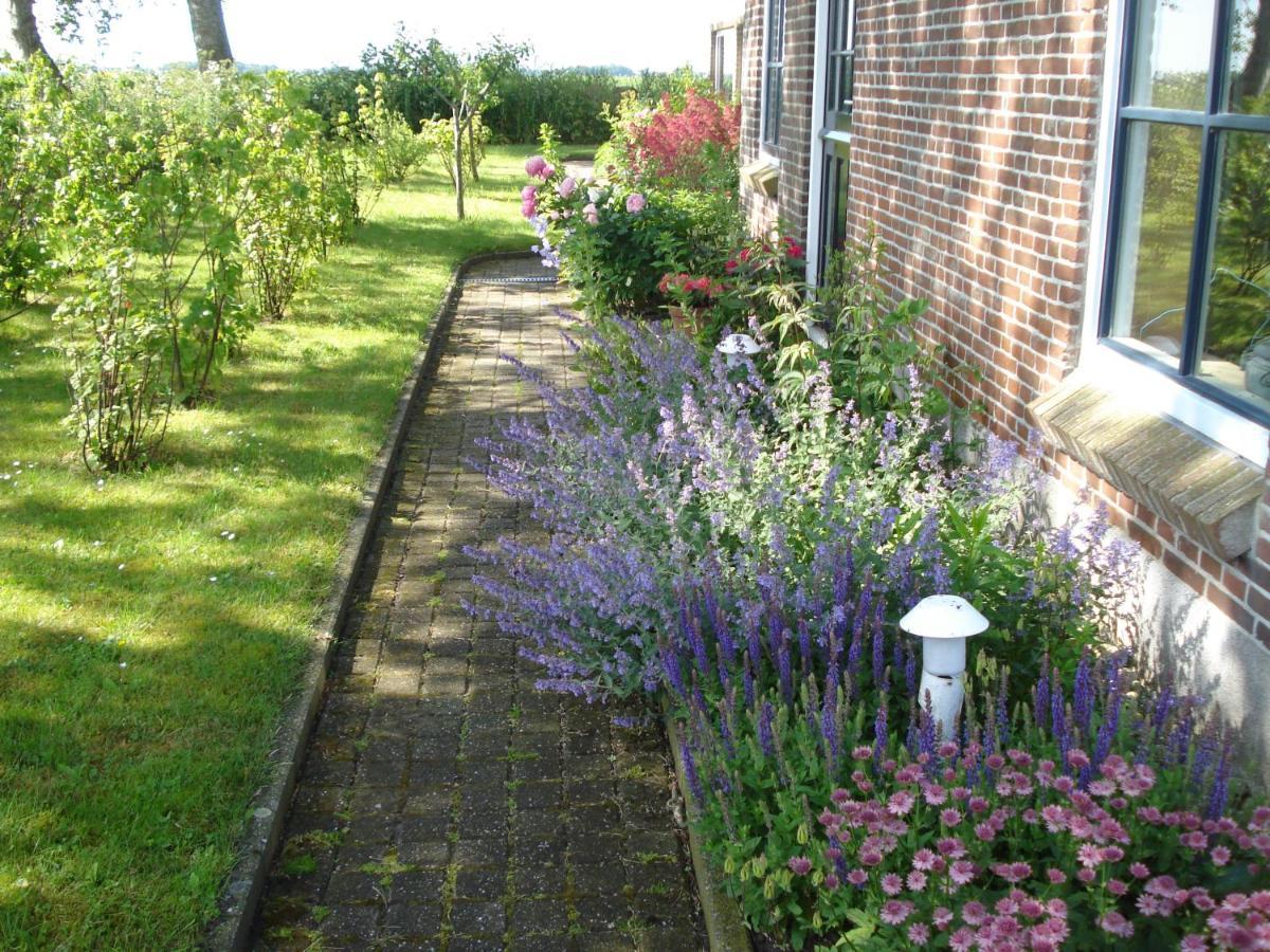 Oosternijkerk B&B Op De Vlakte المظهر الخارجي الصورة